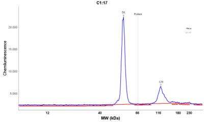 Simple Western: Cytokeratin 18 Antibody (DE-K18) [NBP2-44947]