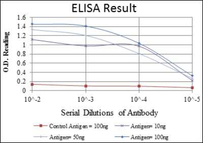 ELISA: Cytokeratin 19 Antibody (4E8) - BSA Free [NBP2-22116]