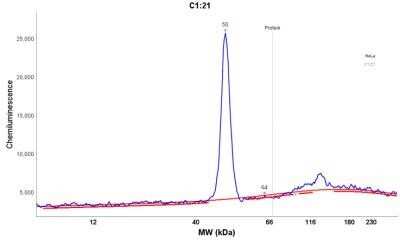 Simple Western: Cytokeratin 19 Antibody (A53-B/A2.26)Azide and BSA Free [NBP2-33134]