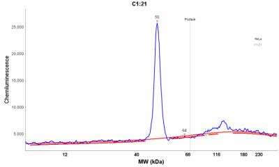 Simple Western: Cytokeratin 19 Antibody (A53-B/A2.26) [NBP2-15186]