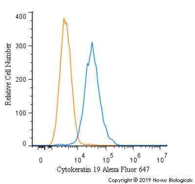 Flow Cytometry: Cytokeratin 19 Antibody - BSA Free [NB100-687]