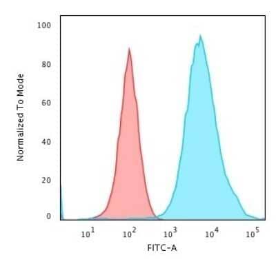 Flow Cytometry: Cytokeratin 19 Antibody (SPM266) - Azide and BSA Free [NBP2-34405]