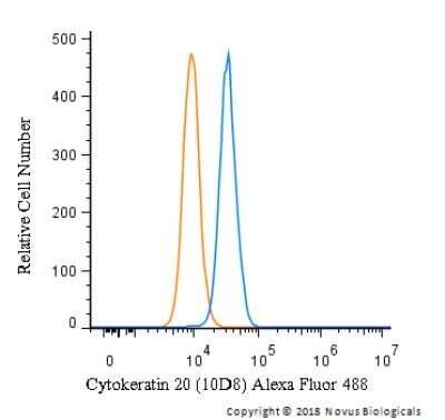 Flow Cytometry: Cytokeratin 20 Antibody (10D8) - BSA Free [NBP2-42616]