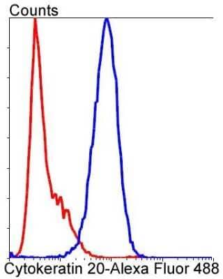 Flow Cytometry: Cytokeratin 20 Antibody (SA35-03) [NBP2-67309]