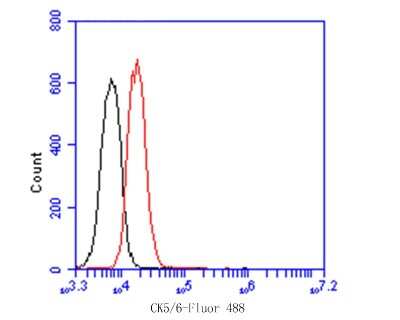 Flow Cytometry: Cytokeratin 5/6 Antibody (A2A12) [NBP2-80401]