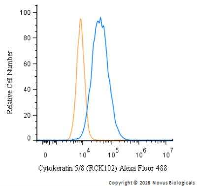 Flow Cytometry: Cytokeratin 5/8 Antibody (RCK102) - BSA Free [NBP1-97730]