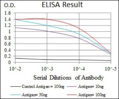 ELISA: Cytokeratin 5 Antibody (2C2) - BSA Free [NBP2-22194]