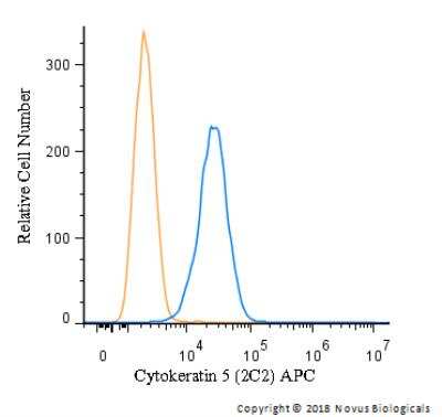 Flow Cytometry: Cytokeratin 5 Antibody (2C2) - BSA Free [NBP2-22194]