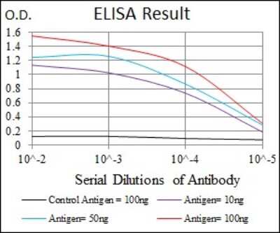 ELISA: Cytokeratin 5 Antibody (2C2B4) - BSA Free [NBP2-37373]