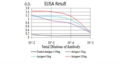 ELISA: Cytokeratin 5 Antibody (3D6D4) - BSA Free [NBP2-52444]