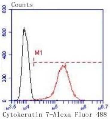 Flow Cytometry: Cytokeratin 7/13/17/18 Antibody (ST50-05) [NBP2-67533]
