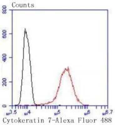 Flow Cytometry: Cytokeratin 7/13/17/18 Antibody (ST50-05) [NBP2-67533]