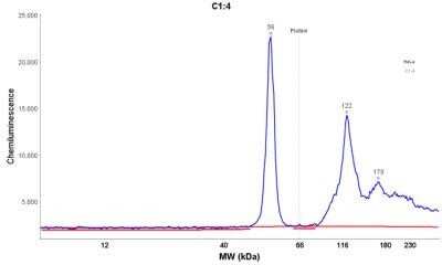 Simple Western: Cytokeratin 7 Antibody (OV-TL12/30)Azide and BSA Free [NBP2-47940]