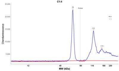 Simple Western: Cytokeratin 7 Antibody (OV-TL12/30) [NBP2-44814]