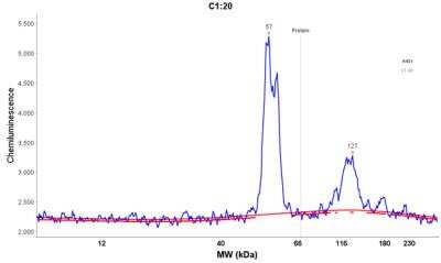 Simple Western: Cytokeratin 8/18 Antibody (KRT8/803 + KRT18/835) [NBP2-44930]