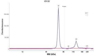 Simple Western: Cytokeratin 8 Antibody (H1)Azide and BSA Free [NBP2-34626]