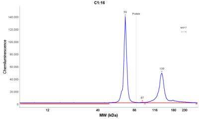 Simple Western: Cytokeratin 8 Antibody (K8/383) [NBP2-34266]