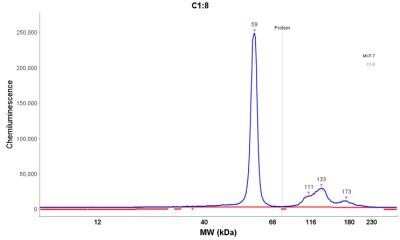 Simple Western: Cytokeratin 8 Antibody (K8.8)Azide and BSA Free [NBP2-34654]