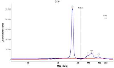 Simple Western: Cytokeratin 8 Antibody (K8.8) [NBP2-34269]