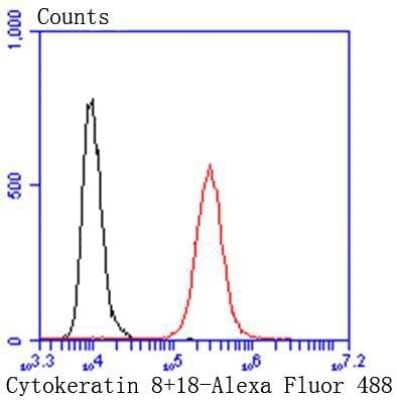 Flow Cytometry: Cytokeratin 8 Antibody (SU0338) [NBP2-67468]