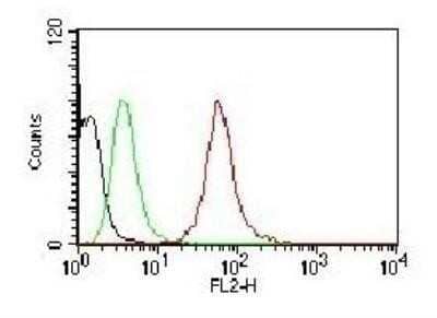 Flow Cytometry of HeLa Cells Stained with PE Conjugated Cytokeratin, pan Antibody