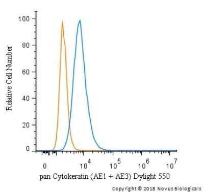 Flow Cytometry of HeLa Cells Stained with Dylight 550 Conjugated Cytokeratin, pan Antibody