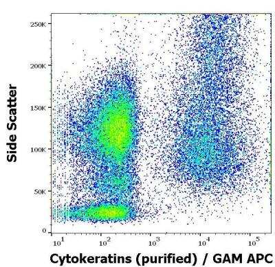 Flow (Intracellular): Cytokeratin, pan Antibody (C-11) - BSA Free [NBP1-48348]