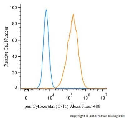 Flow Cytometry: Cytokeratin, pan Antibody (C-11) - BSA Free [NBP1-48348]