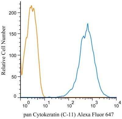 Flow (Intracellular): Cytokeratin, pan Antibody (C-11) - BSA Free [NBP1-48348]