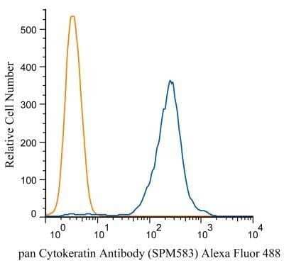 Flow Cytometry: Cytokeratin, pan Antibody (SPM583) [NBP2-34386]
