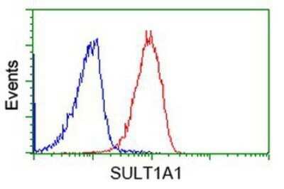 Flow Cytometry: Cytosolic Sulfotransferase 1A1/SULT1A1 Antibody (OTI9B7) - Azide and BSA Free [NBP2-71308]