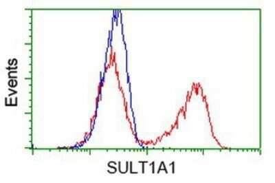 Flow Cytometry: Cytosolic Sulfotransferase 1A1/SULT1A1 Antibody (OTI9B7) - Azide and BSA Free [NBP2-71308]