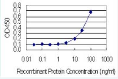 ELISA: SULT1A3 Antibody (1B10) [H00006818-M01-100ug]
