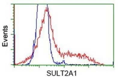 Flow Cytometry: Cytosolic Sulfotransferase 2A1/SULT2A1 Antibody (OTI4D7) - Azide and BSA Free [NBP2-71326]