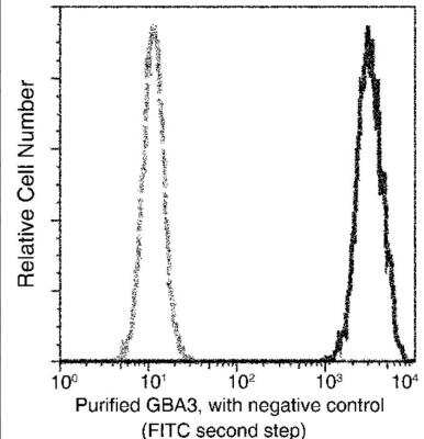 Flow Cytometry: Cytosolic beta-Glucosidase/GBA3 Antibody (008) [NBP2-89924]