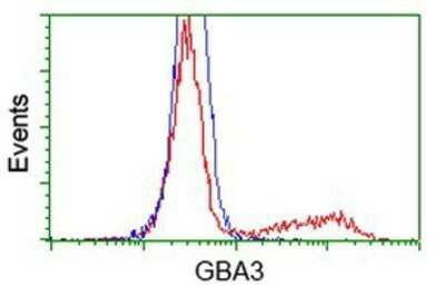 Flow Cytometry: Cytosolic beta-Glucosidase/GBA3 Antibody (OTI1F1) - Azide and BSA Free [NBP2-72100]