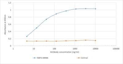 ELISA: D-Dimer Antibody (3B6) - Chimeric - Azide and BSA Free [NBP3-08986]