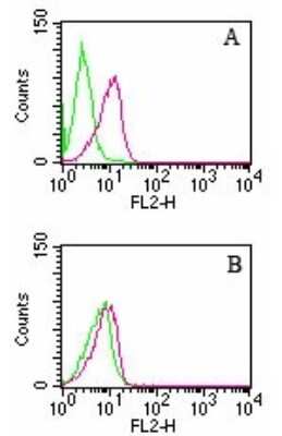 Flow Cytometry: D4-GDI/RhoGDI2 Antibody (10D774) - Azide and BSA Free [NBP2-80690]