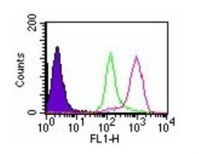 Flow (Intracellular): D4-GDI/RhoGDI2 Antibody (97A1015) - (cleavage specific) - BSA Free [NB100-56725]