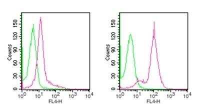 Flow (Intracellular): D4-GDI/RhoGDI2 Antibody (97A1015) - (cleavage specific) - BSA Free [NB100-56725]