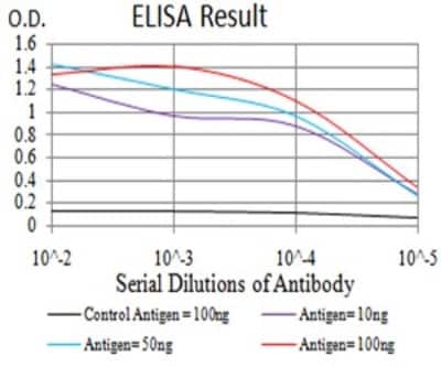 ELISA: DAB2 Antibody (2H7C4) - BSA Free [NBP2-61884]