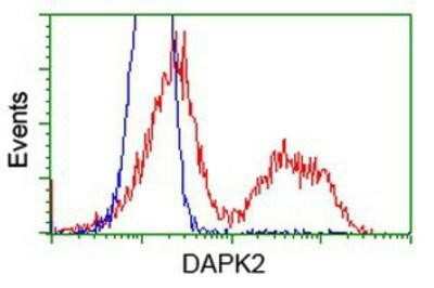 Flow Cytometry: DAP Kinase 2 Antibody (OTI1C5) [NBP2-02477]