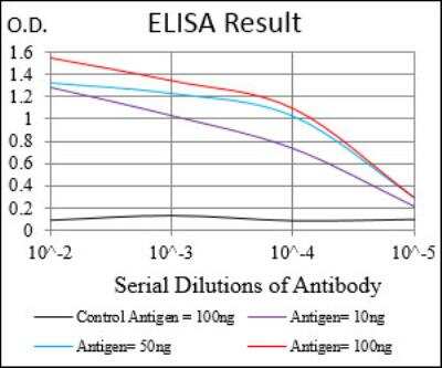 ELISA: DAPK3/ZIPK Antibody (4H4C8) - BSA Free [NBP2-52452]