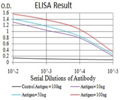 ELISA: DAPP1 Antibody (2F7A9) - BSA Free [NBP2-61740]
