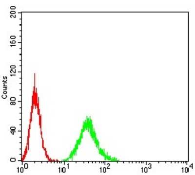 Flow Cytometry: DAPP1 Antibody (2F7A9) - BSA Free [NBP2-61740]