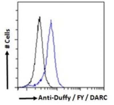 Flow Cytometry: DARC Antibody [NB100-2421]