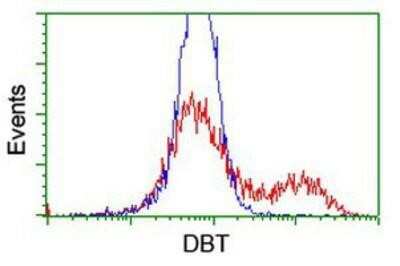 Flow Cytometry: DBT Antibody (OTI1G2) [NBP2-02042]