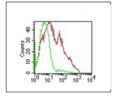 Flow Cytometry: DC-SIGN/CD209 Antibody (102F10.04) [DDX0205P-100]