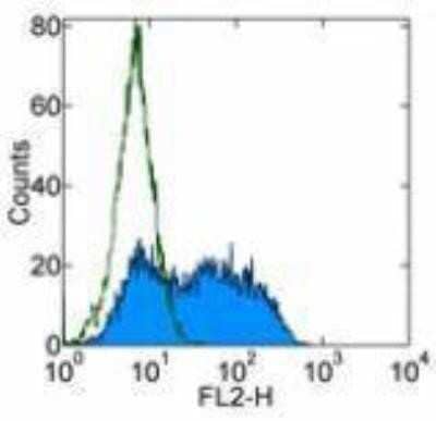 Flow Cytometry: DC-SIGN/CD209 Antibody (LWC06) - BSA Free [NBP1-43328]