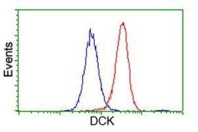 Flow Cytometry: DCK Antibody (OTI3F5) [NBP2-00590]